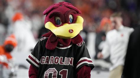 south carolina gamecocks